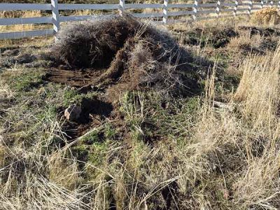 Yard Waste Haul Off
