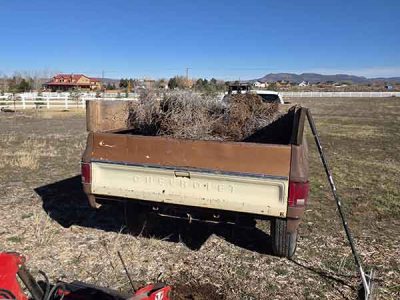 Yard Waste Haul Off Services