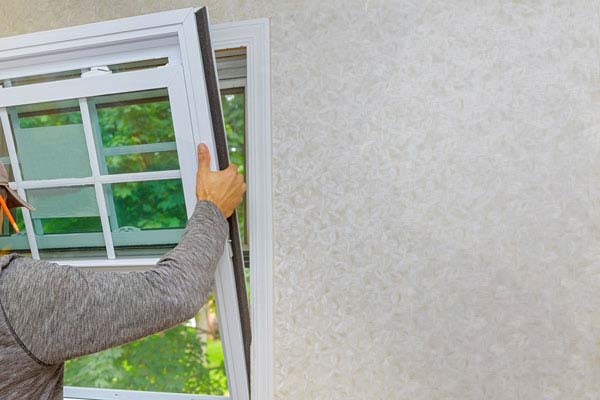 Window Replacement Services